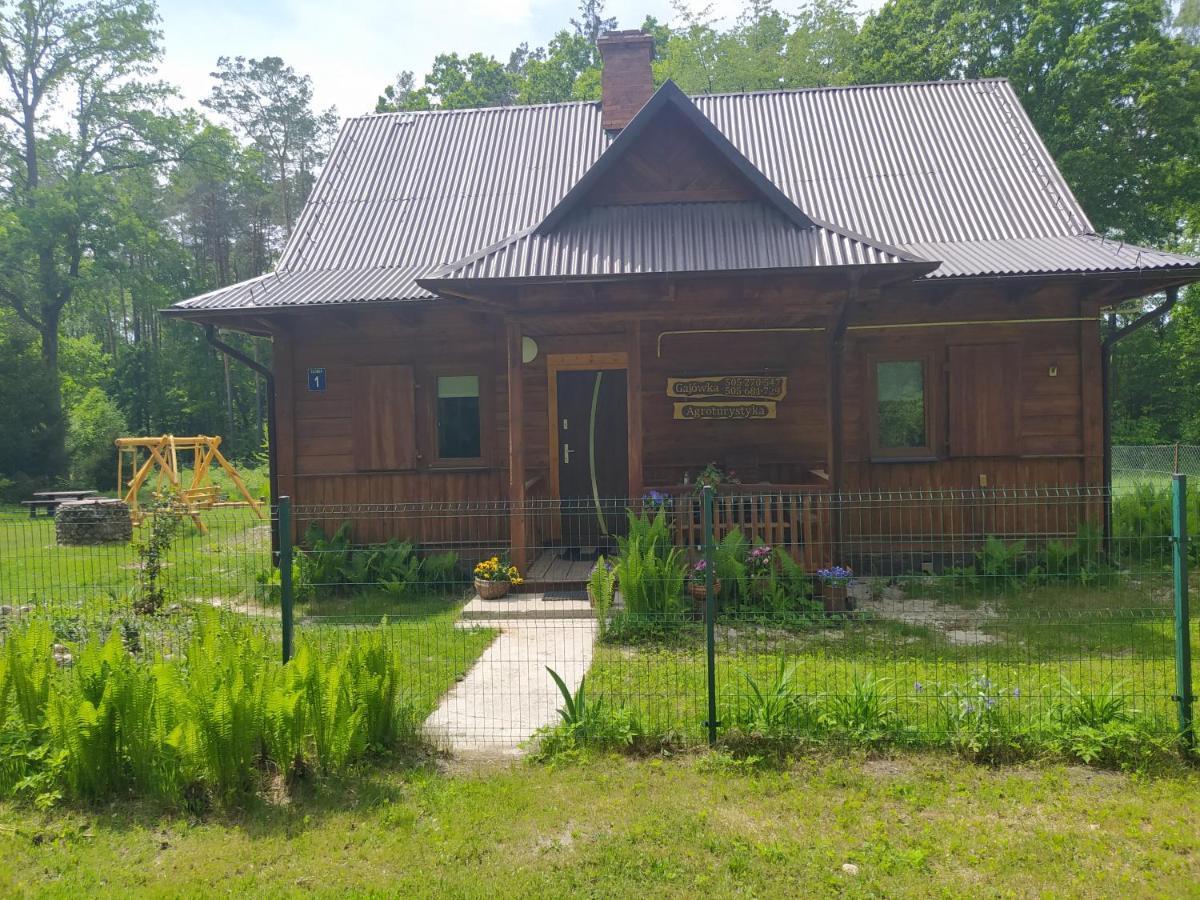 Zlobek Gajowka Zlobek别墅 外观 照片
